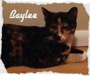 Baylee1